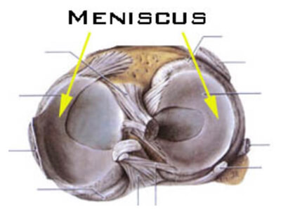 Wat is een meniscus
